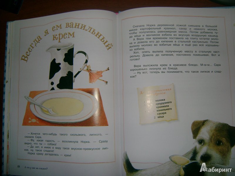 Иллюстрация 13 из 45 для Веселая кухня. Вкусные рецепты на каждый день - Марьолейн Бастин | Лабиринт - книги. Источник: Мама Владиславы