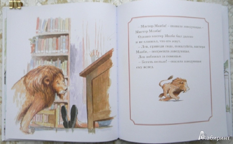 Иллюстрация 24 из 39 для Лев в библиотеке - Мишель Кнудсен | Лабиринт - книги. Источник: Раскова  Юлия