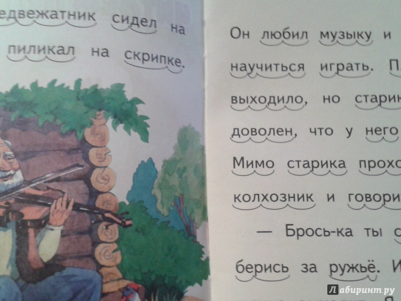 Иллюстрация 3 из 15 для Музыкант - Виталий Бианки | Лабиринт - книги. Источник: Написатель