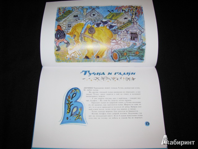 Иллюстрация 55 из 64 для Стеклянный пруд - Юрий Коваль | Лабиринт - книги. Источник: Nemertona