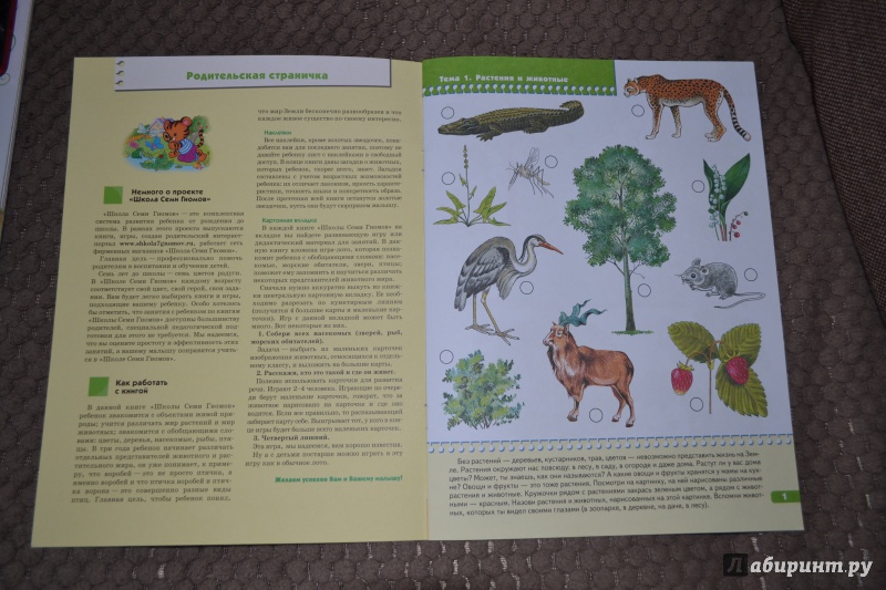 Иллюстрация 3 из 33 для Я изучаю природу. Развитие и обучение детей от 3 до 4 лет | Лабиринт - книги. Источник: betsi