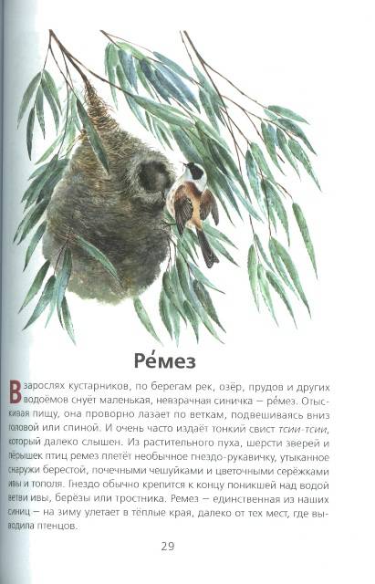 Иллюстрация 9 из 33 для Животные нашей страны - Владимир Храбрый | Лабиринт - книги. Источник: bel-k