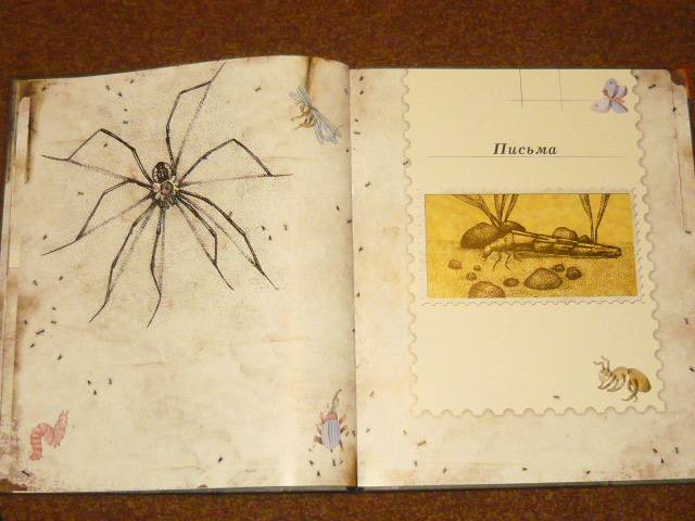 Иллюстрация 56 из 103 для Письма насекомых - Ольга Кувыкина | Лабиринт - книги. Источник: Ромашка:-)