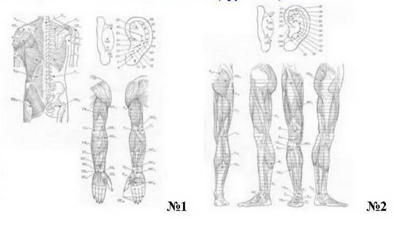 Иллюстрация 7 из 7 для Акупрессура. Лечение 250 болезней при помощи точечного массажа - Валерий Молостов | Лабиринт - книги. Источник: Ялина