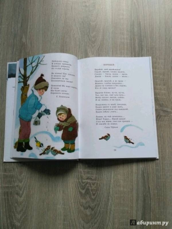 Иллюстрация 19 из 61 для Зимние стихи и сказки | Лабиринт - книги. Источник: Исачкина Наталья
