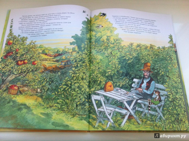 Иллюстрация 46 из 47 для Чужак в огороде - Свен Нурдквист | Лабиринт - книги. Источник: Гавриленко  Татьяна