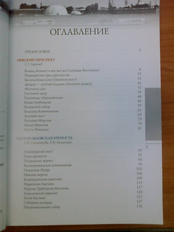 Иллюстрация 3 из 30 для Прогулки по Санкт-Петербургу. Путеводитель | Лабиринт - книги. Источник: lettrice