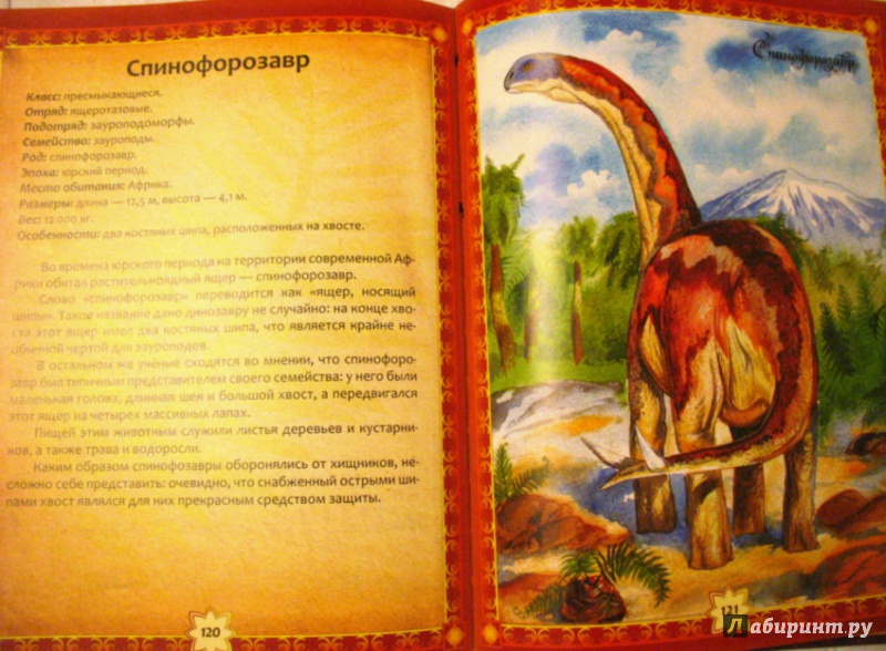 Иллюстрация 5 из 7 для Динозавры - Дарья Гомиева | Лабиринт - книги. Источник: Рогачев  Сергей Александрович