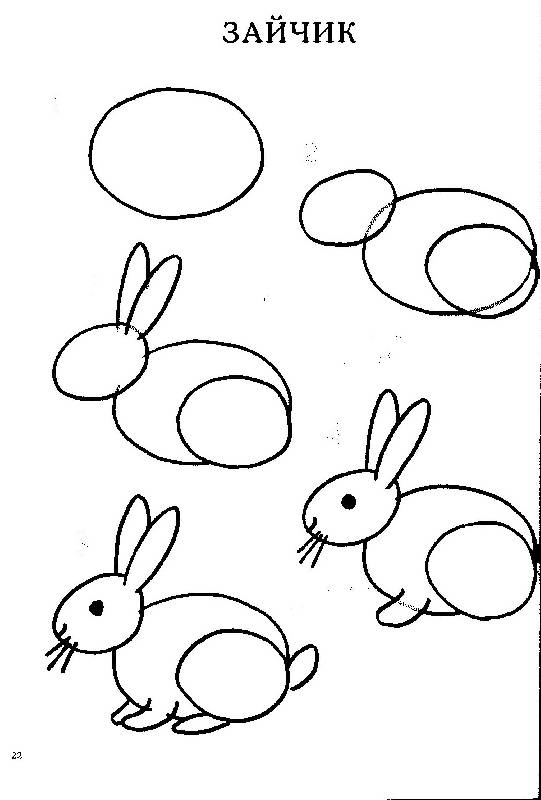 Иллюстрация 7 из 28 для Обучение рисованию. Рисуем животных | Лабиринт - книги. Источник: zingara