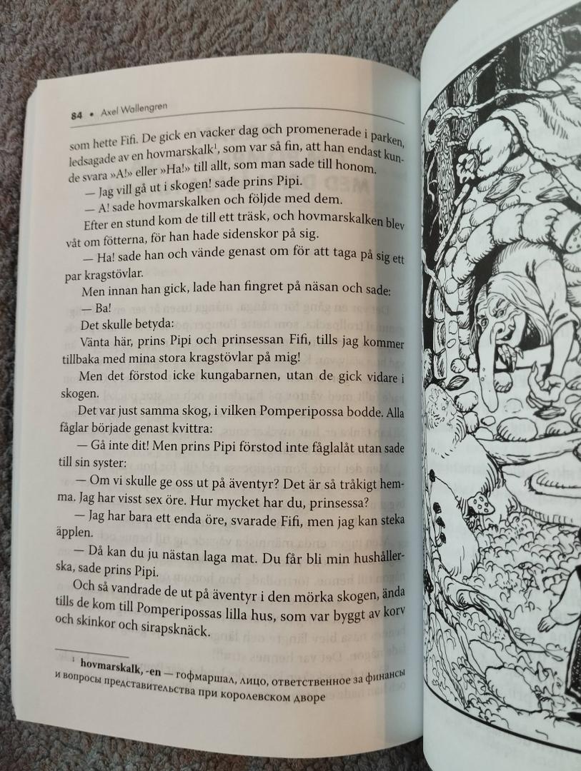 Иллюстрация 17 из 19 для Шведские литературные сказки. Книга для чтения на шведском языке | Лабиринт - книги. Источник: blackbunny33