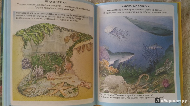 Иллюстрация 42 из 45 для Тайны моря | Лабиринт - книги. Источник: Ирина Р.