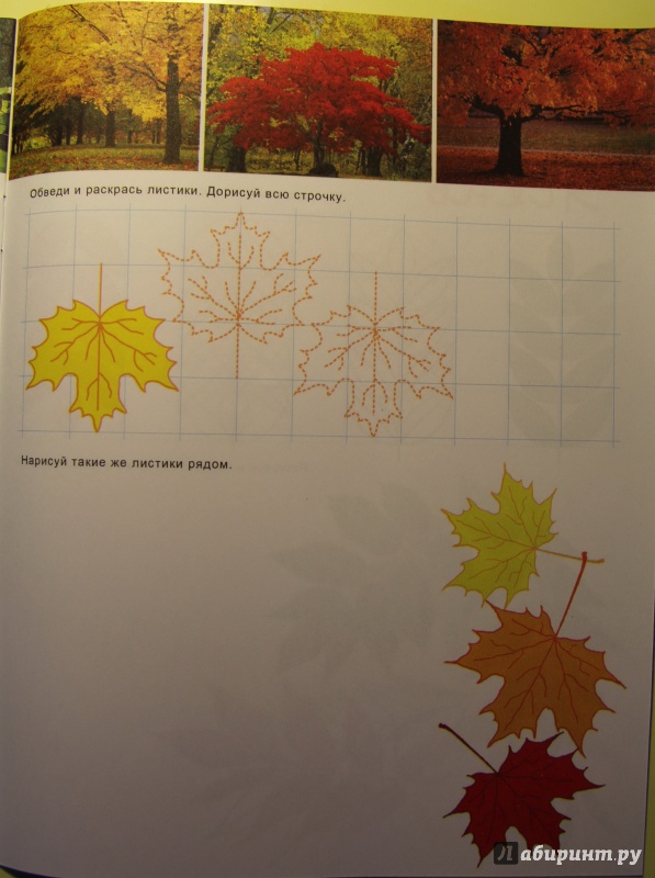 Иллюстрация 16 из 16 для Познавательные прописи "Листья и деревья" (33981) | Лабиринт - книги. Источник: Тасиа