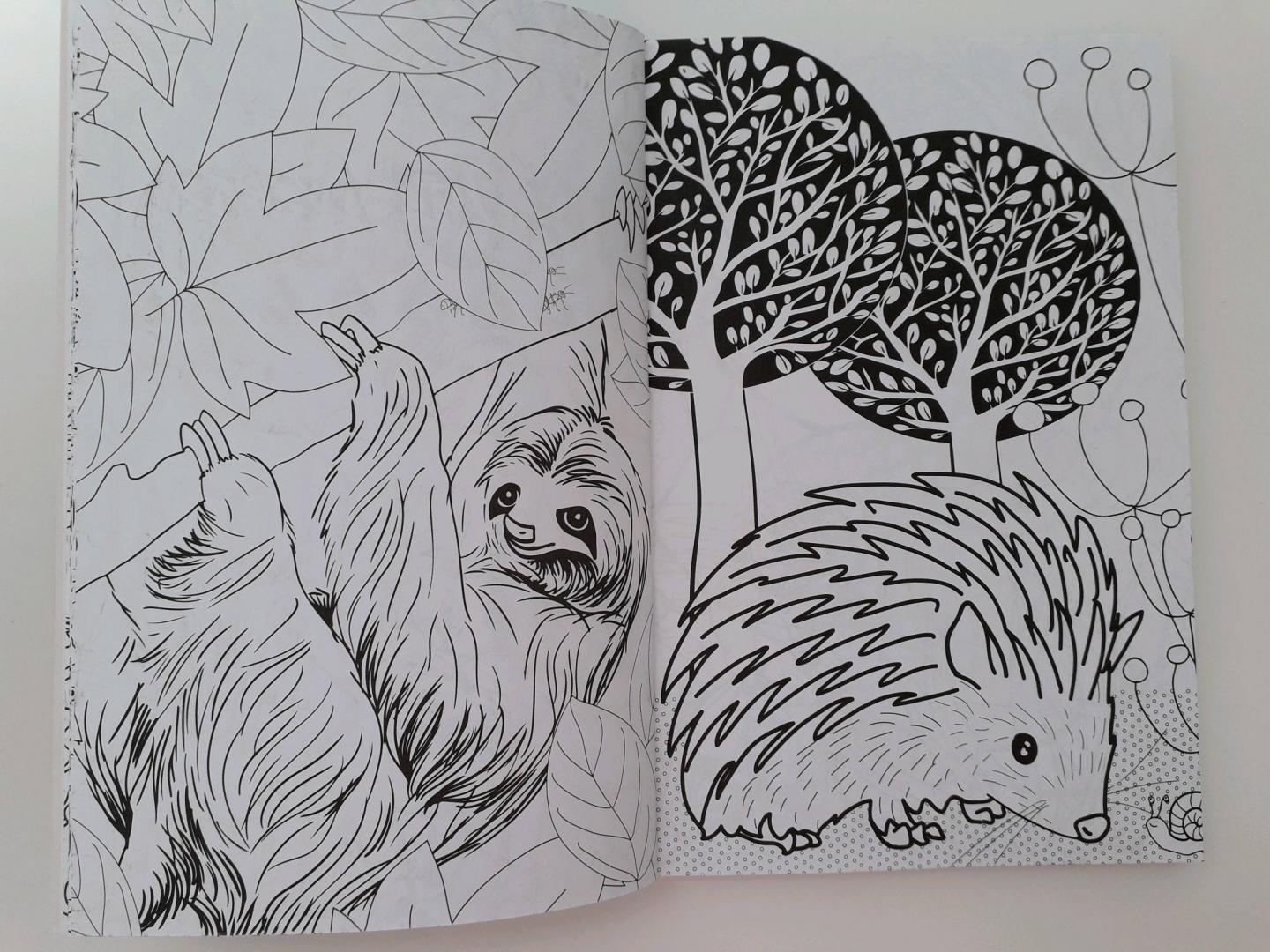 Иллюстрация 43 из 44 для Удивительные животные. Мини-раскраска-антистресс для творчества и вдохновения | Лабиринт - книги. Источник: kassandra236