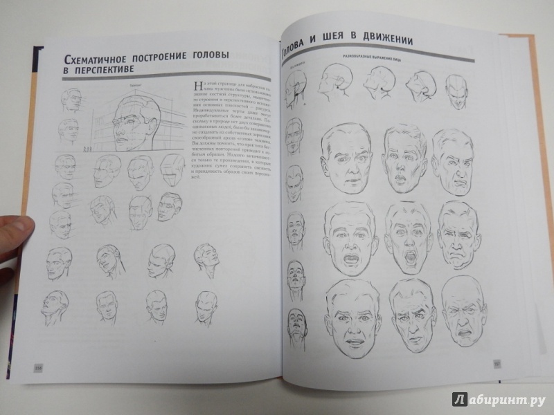 Иллюстрация 11 из 18 для Рисуем человека. Полный самоучитель | Лабиринт - книги. Источник: dbyyb