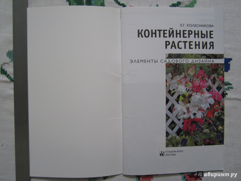 Иллюстрация 4 из 21 для Контейнерные растения - Елена Колесникова | Лабиринт - книги. Источник: A. Fragaria