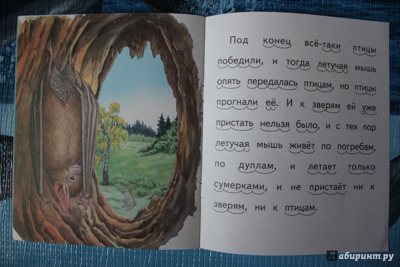Иллюстрация 12 из 16 для Белка и волк - Лев Толстой | Лабиринт - книги. Источник: Глушко  Александр