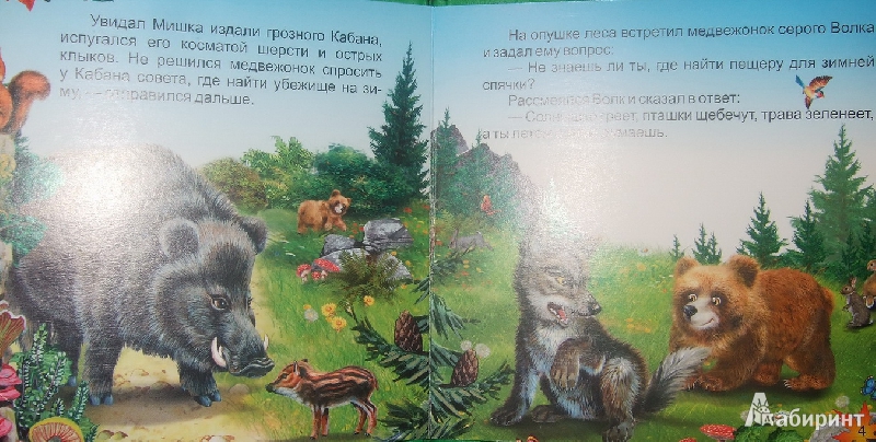 Иллюстрация 3 из 6 для Мишка в лесу | Лабиринт - книги. Источник: Анна Мельникова