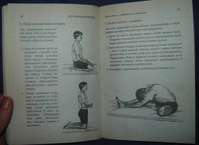 Иллюстрация 4 из 11 для Безграничная энергия. Полная программа по преодолению хронической усталости - Дипак Чопра | Лабиринт - книги. Источник: vybegasha