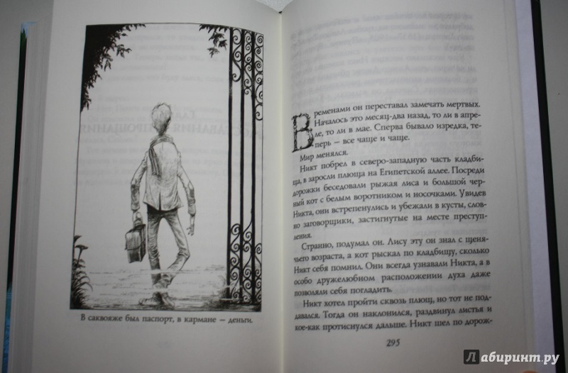 Иллюстрация 12 из 90 для История с кладбищем - Нил Гейман | Лабиринт - книги. Источник: КНИЖНОЕ ДЕТСТВО