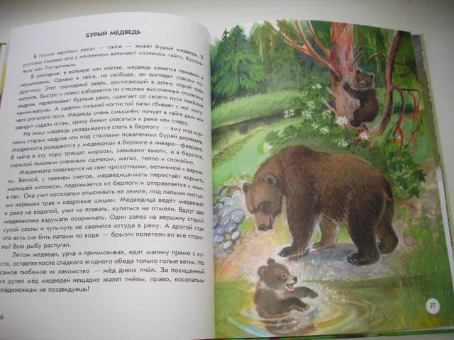 Иллюстрация 24 из 40 для Азбука живой природы - Александр Барков | Лабиринт - книги. Источник: Осьминожка