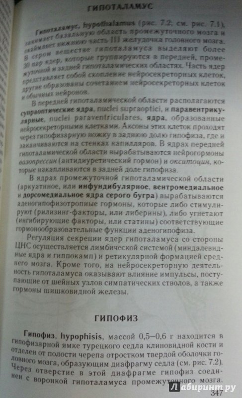 Иллюстрация 11 из 15 для Анатомия человека. Учебник для студентов - Рудольф Самусев | Лабиринт - книги. Источник: Den