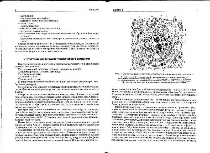 Иллюстрация 2 из 11 для Нормальная анатомия человека. В 2 томах. Том 1 - Иван Гайворонский | Лабиринт - книги. Источник: Юта