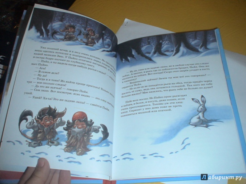 Иллюстрация 8 из 20 для Следы на снегу - Сиссель Бёэ | Лабиринт - книги. Источник: prema81