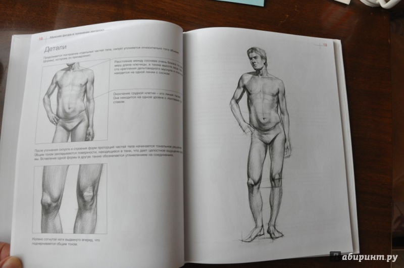 Иллюстрация 6 из 23 для Как рисовать фигуру человека. Пособие для поступающих в художественные вузы - Александр Рыжкин | Лабиринт - книги. Источник: Аблакотова  Надежда