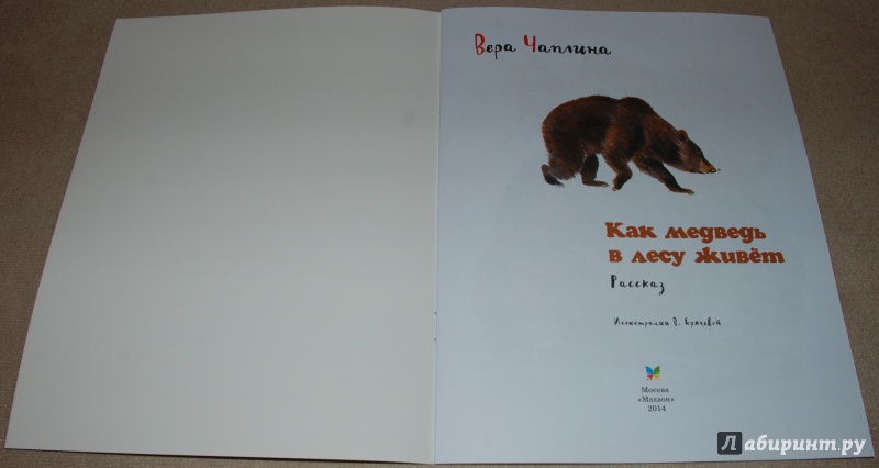 Иллюстрация 3 из 44 для Как медведь в лесу живёт - Вера Чаплина | Лабиринт - книги. Источник: Книжный кот