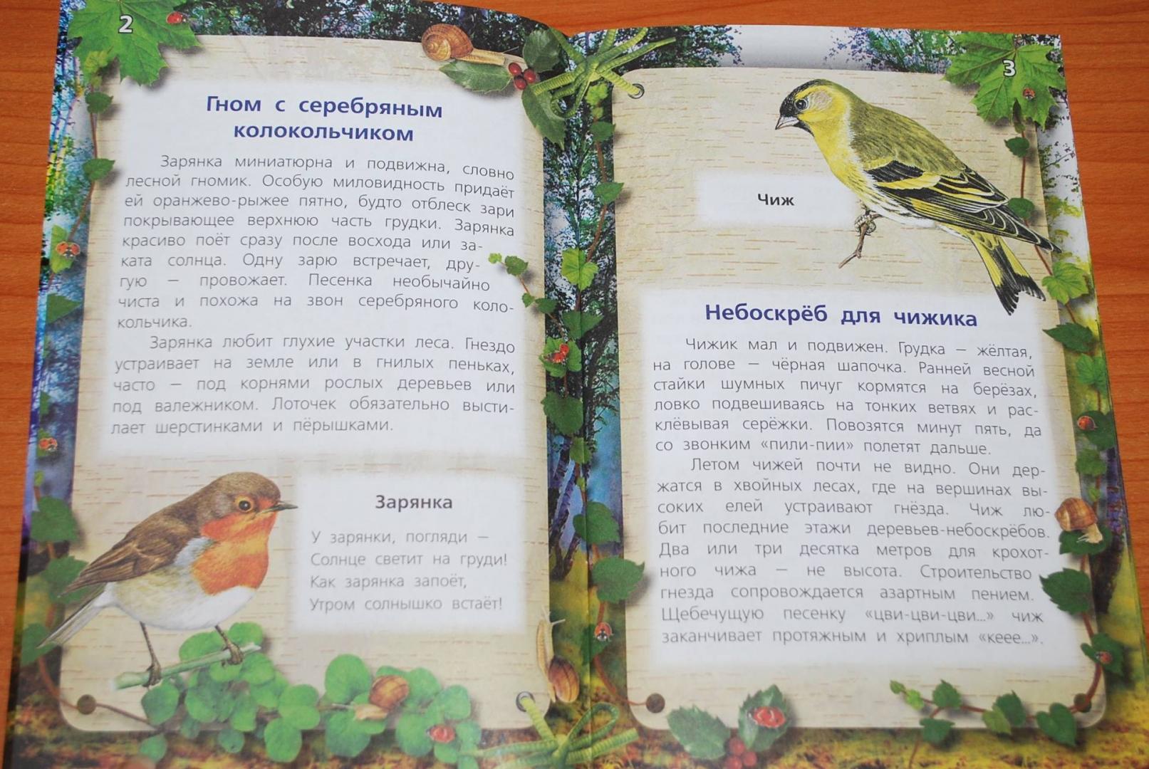 Иллюстрация 24 из 26 для Тайны певчих птиц - Александр Тихонов | Лабиринт - книги. Источник: Нади