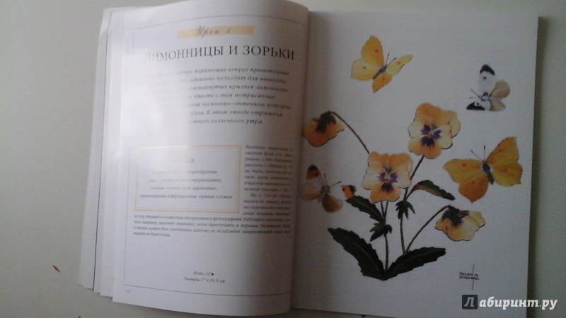Иллюстрация 22 из 41 для Бабочки. Практическое руководство - Хелен Стивенс | Лабиринт - книги. Источник: manyaa