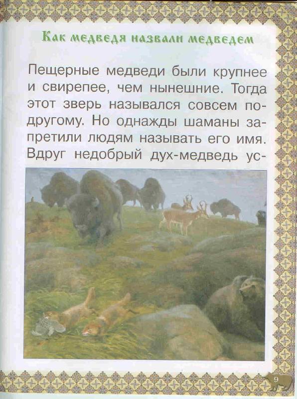 Иллюстрация 6 из 41 для Косолапые истории. Все о медведях - Екатерина Малинина | Лабиринт - книги. Источник: Тярионнакуби