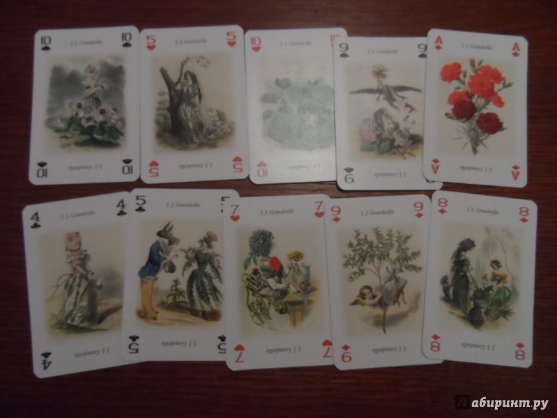 Иллюстрация 8 из 48 для Игральные карты "Живые цветы" | Лабиринт - книги. Источник: Ксения  Ксения
