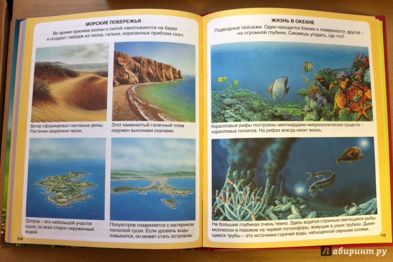 Иллюстрация 27 из 74 для Загадки природы - Бомон, Гийоре | Лабиринт - книги. Источник: Террил