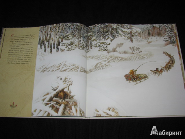 Иллюстрация 54 из 70 для Жизнь в тайге - Бренда Гиберсон | Лабиринт - книги. Источник: Nemertona