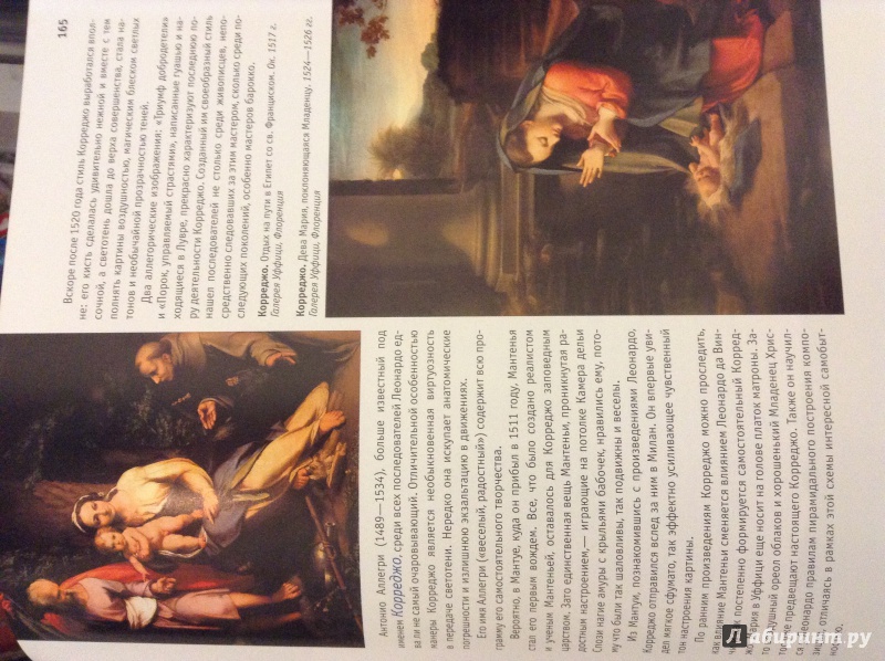 Иллюстрация 22 из 57 для Искусство Ренессанса - Петр Гнедич | Лабиринт - книги. Источник: Корсакова  Виктория