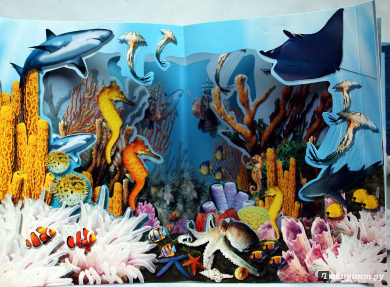 Иллюстрация 14 из 20 для Удивительный океан | Лабиринт - книги. Источник: Сидоренко  Сергей