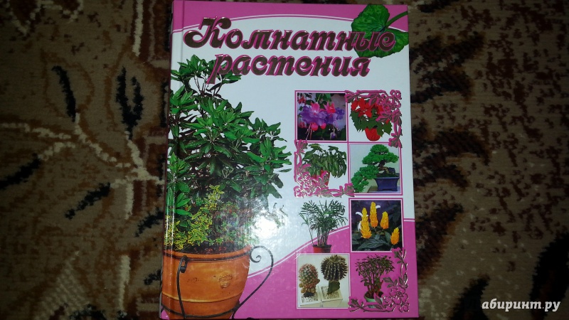 Иллюстрация 3 из 9 для Комнатные растения - Лариса Бурлуцкая | Лабиринт - книги. Источник: Шиндряева  Зоя