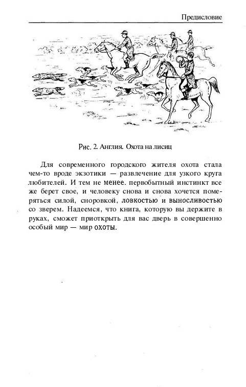 Иллюстрация 7 из 15 для Охота и рыбалка - А. Васильев | Лабиринт - книги. Источник: Рыженький