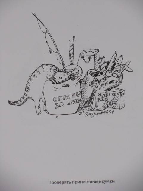Иллюстрация 4 из 19 для Правила кошек - Маргарита Журавлева | Лабиринт - книги. Источник: Nemertona