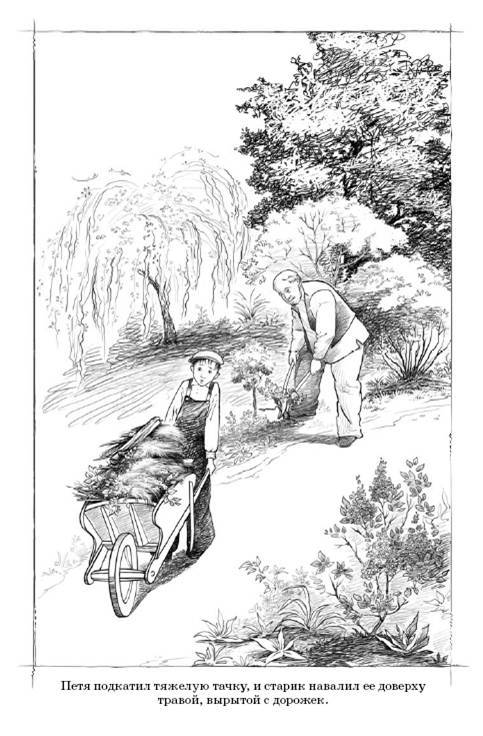 Иллюстрация 16 из 19 для Волчонок - Александра Анненская | Лабиринт - книги. Источник: Любознательный