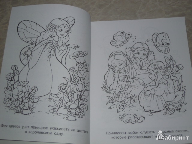 Иллюстрация 10 из 16 для Раскраска "Феи и принцессы" | Лабиринт - книги. Источник: Iwolga