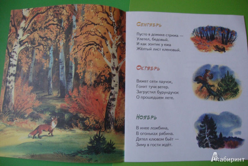 Иллюстрация 5 из 15 для Осень - рыжая лиса - Владимир Степанов | Лабиринт - книги. Источник: Еремеева  Ольга