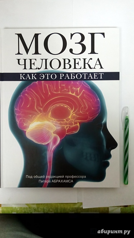 Book brain. Книга мозг. Мозг с книжкой. Книга про мозг человека. Питер Абрахамс: мозг человека.