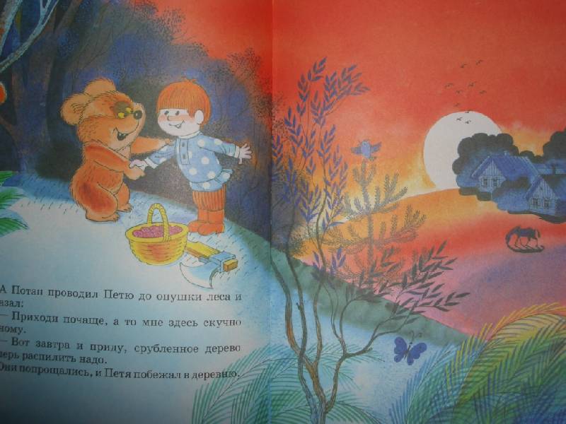 Иллюстрация 59 из 73 для Петя и медвежонок Потап - Виктор Чижиков | Лабиринт - книги. Источник: sher