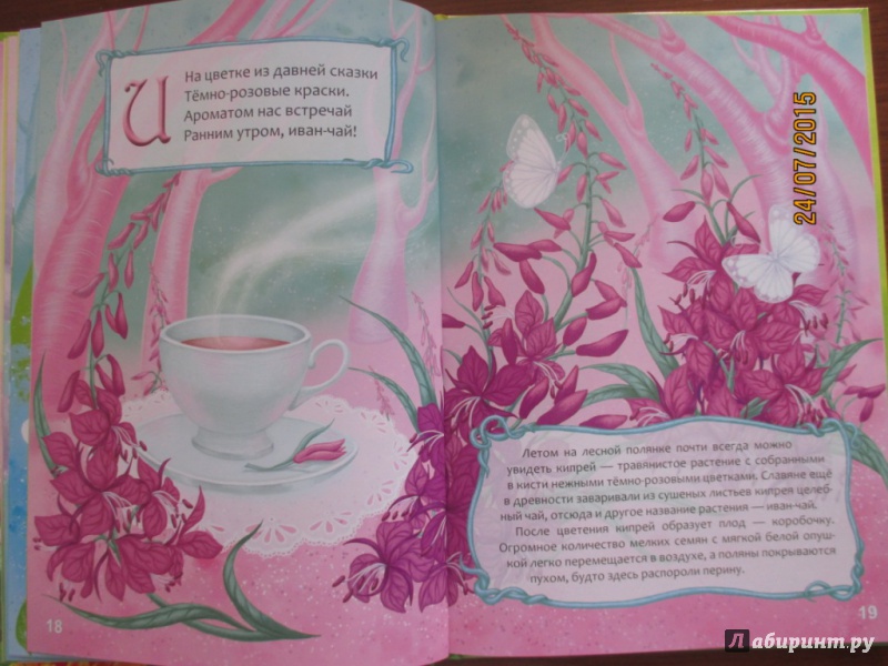Иллюстрация 17 из 31 для Цветочная Азбука - Любовь Яковенко | Лабиринт - книги. Источник: Марина Епифанцева
