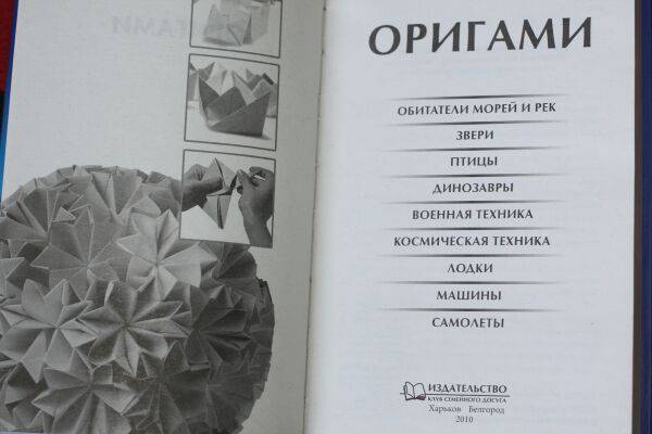 Иллюстрация 2 из 16 для Оригами | Лабиринт - книги. Источник: Коптенкова  Юлия Николаевна