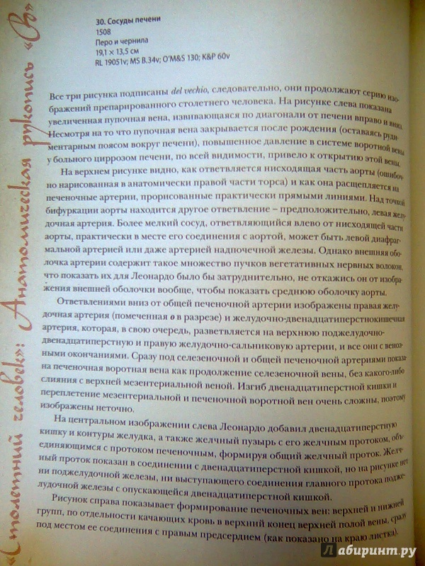 Иллюстрация 16 из 42 для Анатомия Леонардо - Мартин Клейтон | Лабиринт - книги. Источник: Салус