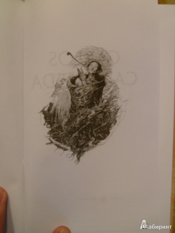 Иллюстрация 3 из 25 для Огонь изнутри - Карлос Кастанеда | Лабиринт - книги. Источник: Никита Фидык