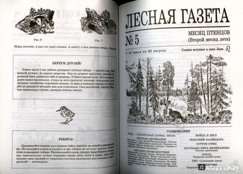 Иллюстрация 8 из 8 для Лесная газета на каждый год. Осень-зима - Виталий Бианки | Лабиринт - книги. Источник: Veronika_L